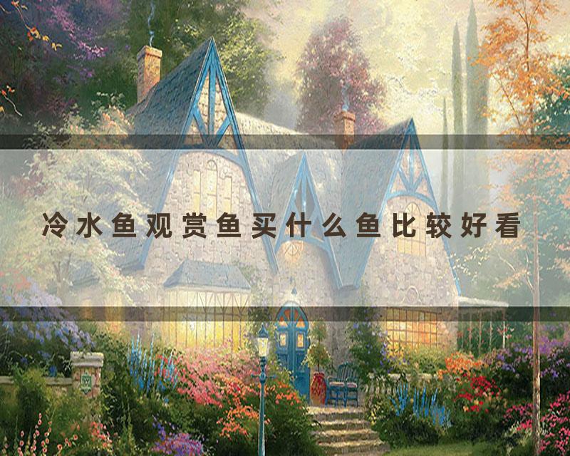 冷水鱼观赏鱼买什么鱼比较好看