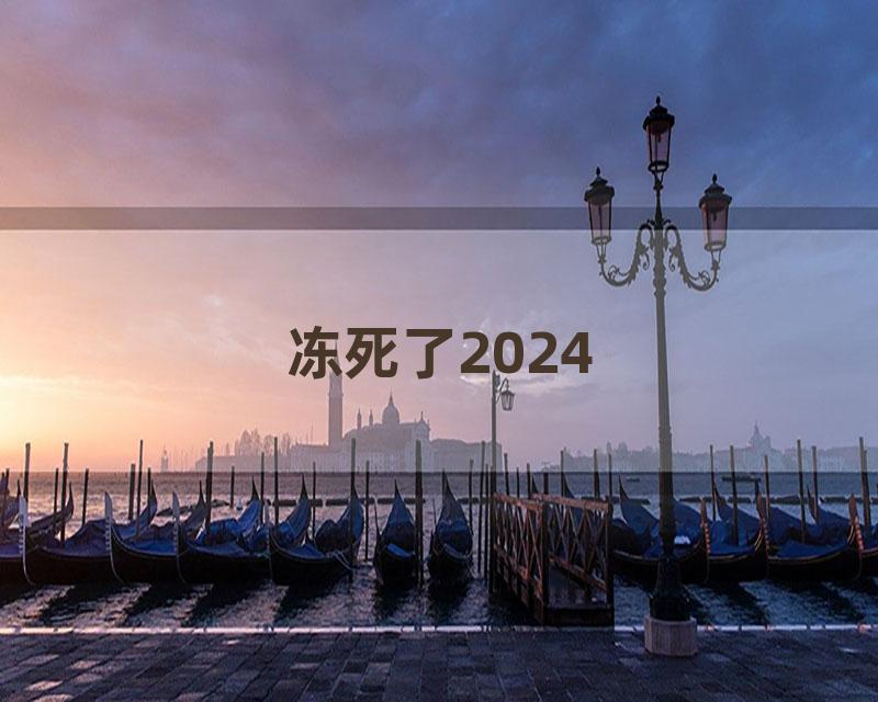 冻死了2024