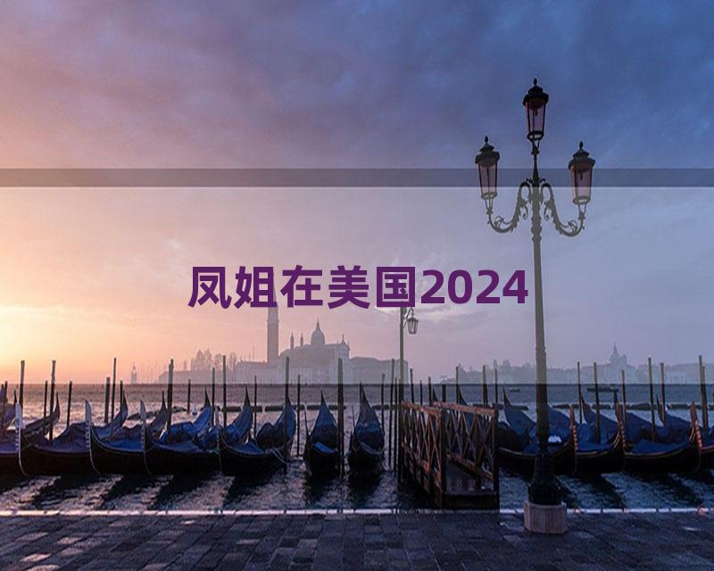 凤姐在美国2024