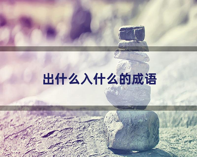 出什么入什么的成语