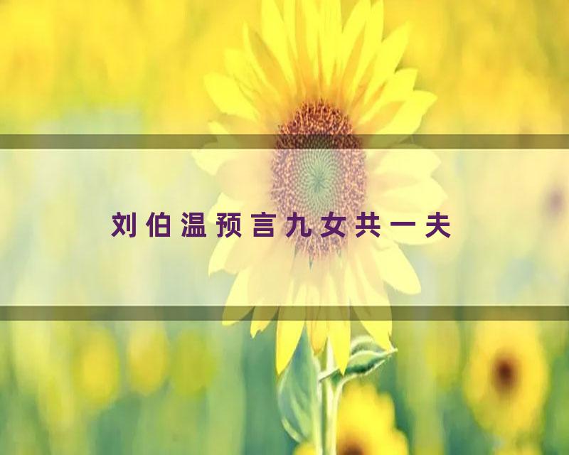 刘伯温预言九女共一夫
