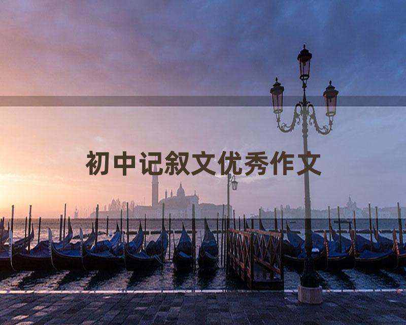 初中记叙文优秀作文
