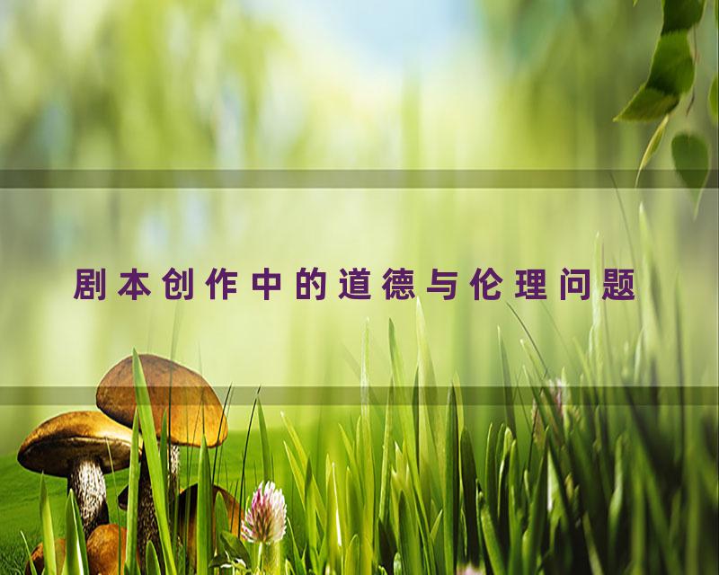 剧本创作中的道德与伦理问题