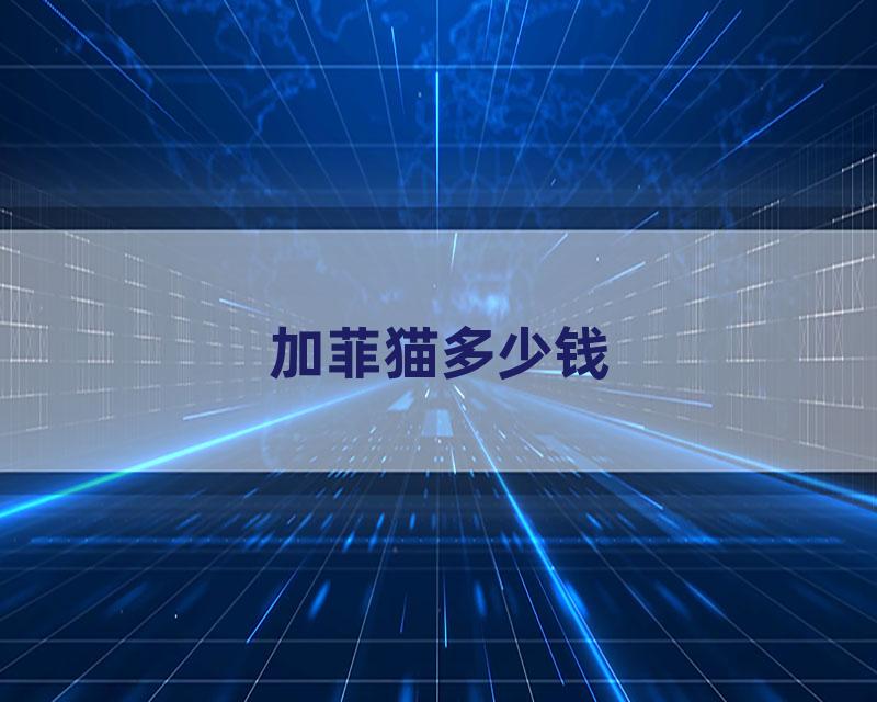 加菲猫多少钱
