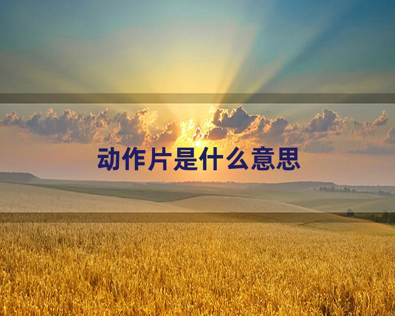 动作片是什么意思