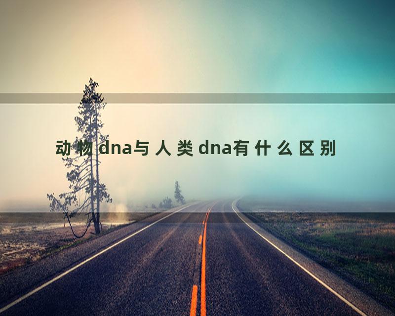 动物dna与人类dna有什么区别