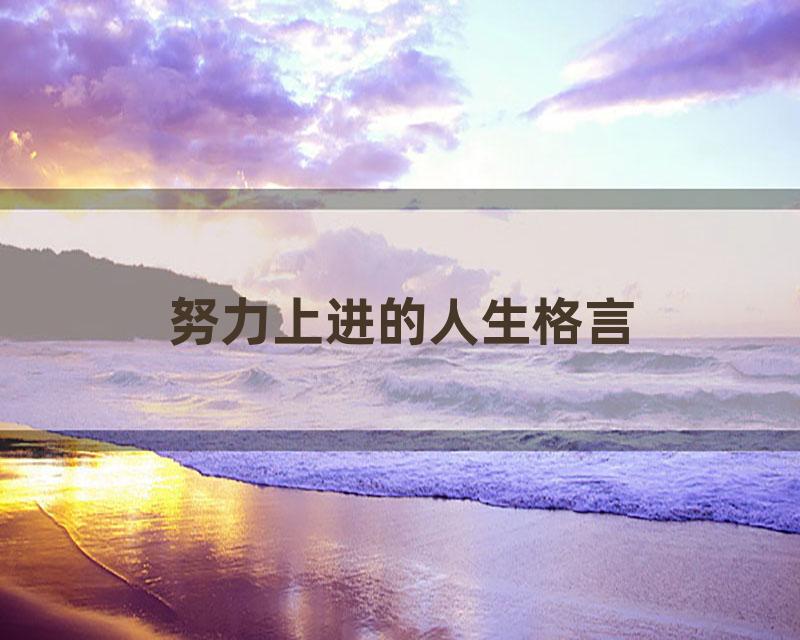 努力上进的人生格言