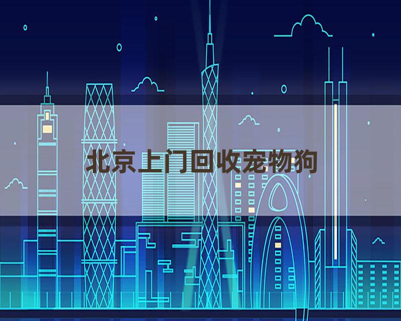 北京上门回收宠物狗