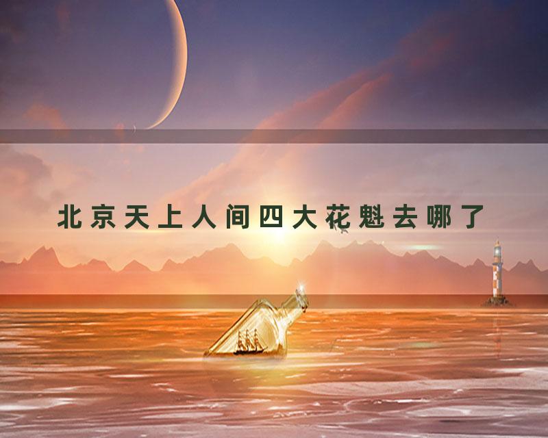 北京天上人间四大花魁去哪了