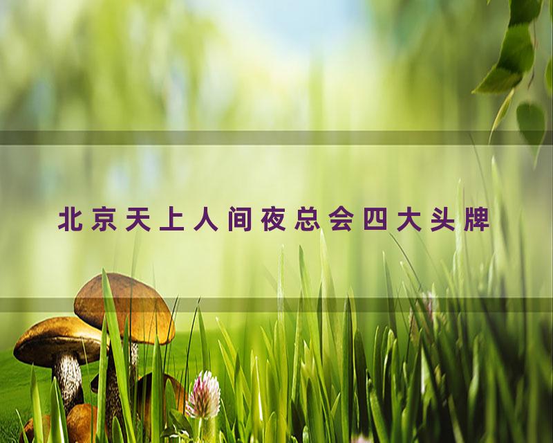 北京天上人间夜总会四大头牌