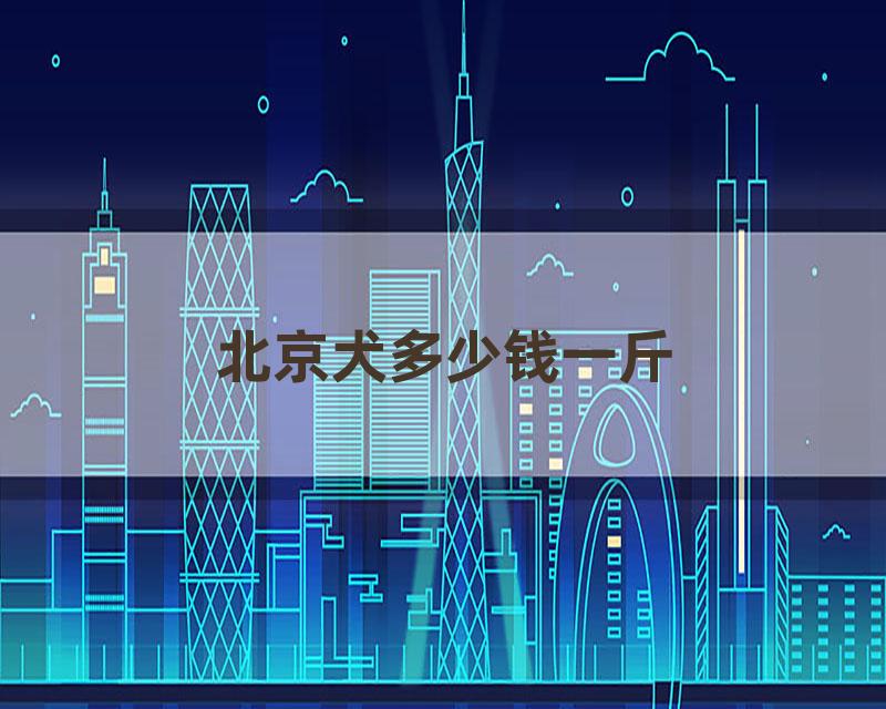 北京犬多少钱一斤