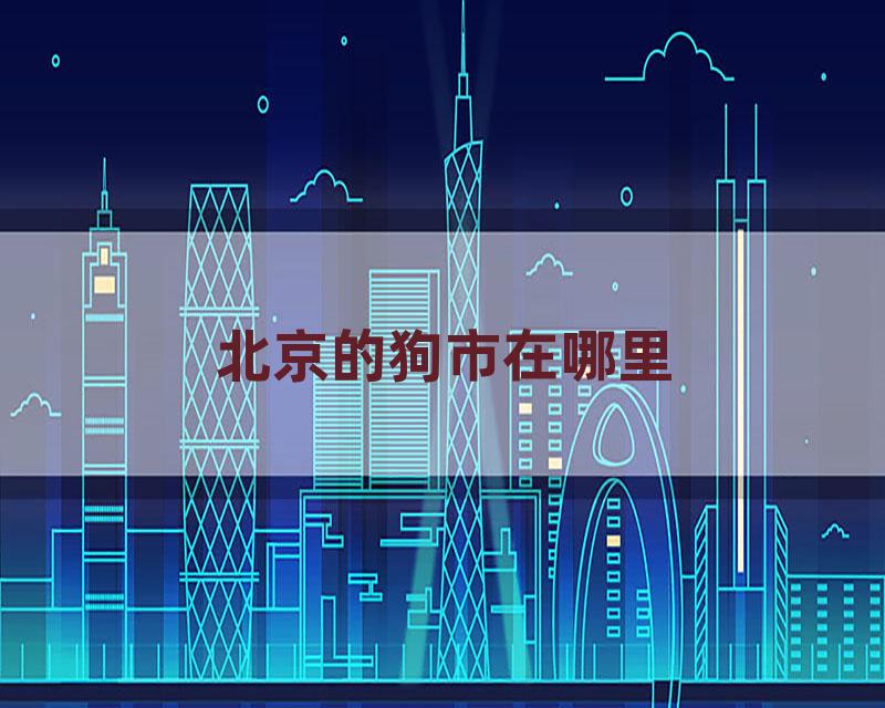 北京的狗市在哪里