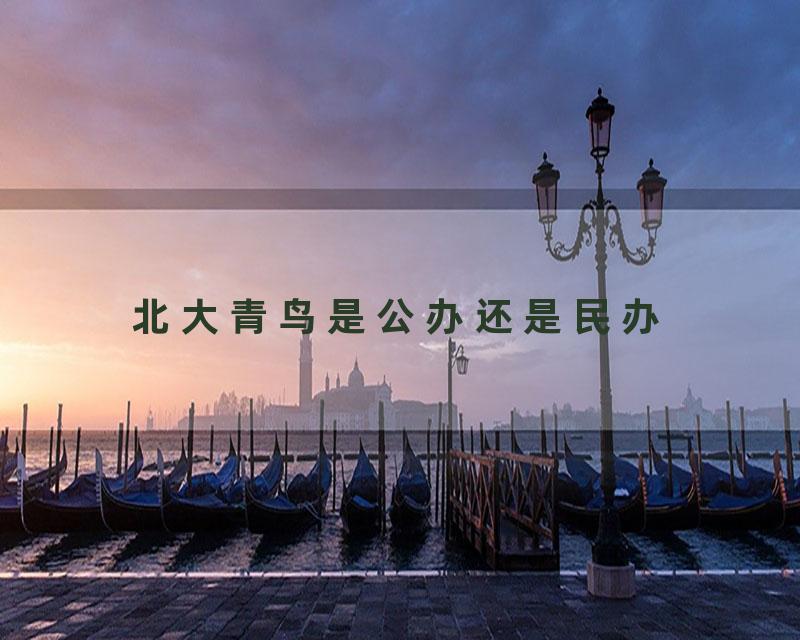 北大青鸟是公办还是民办