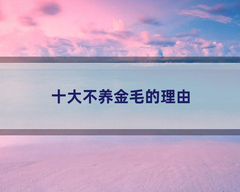 十大不养金毛的理由