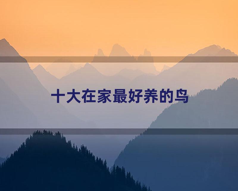 十大在家最好养的鸟