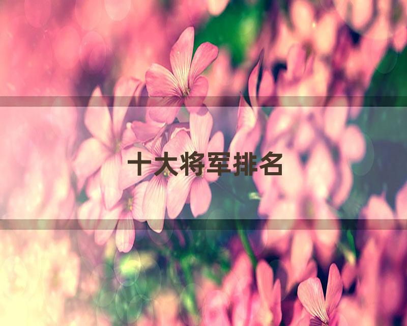 十大将军排名