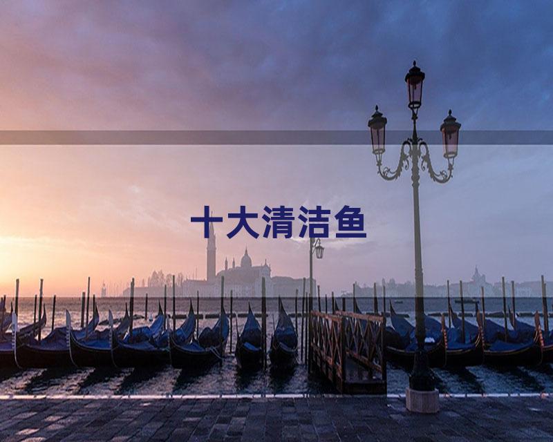十大清洁鱼