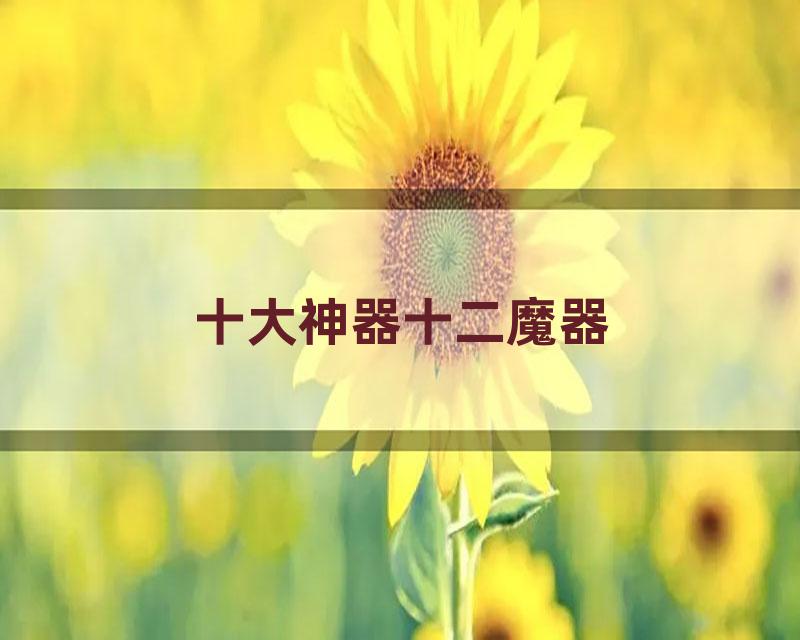 十大神器十二魔器