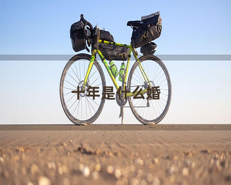 十年是什么婚