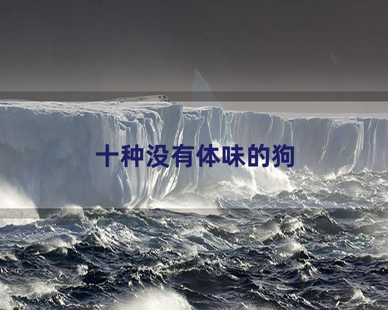 十种没有体味的狗
