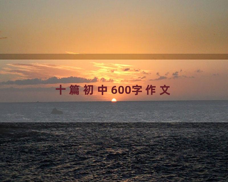 十篇初中600字作文