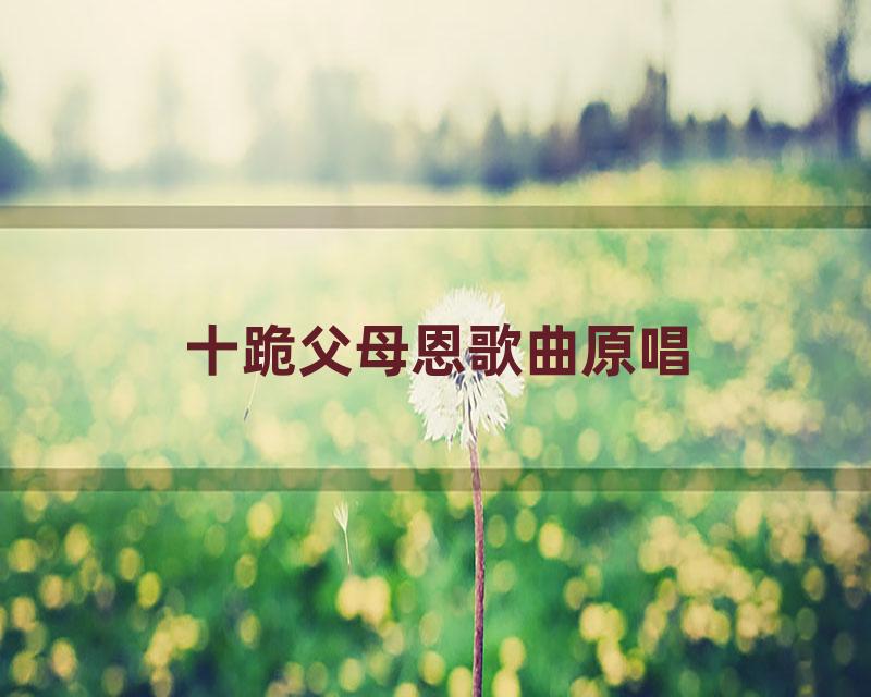 十跪父母恩歌曲原唱
