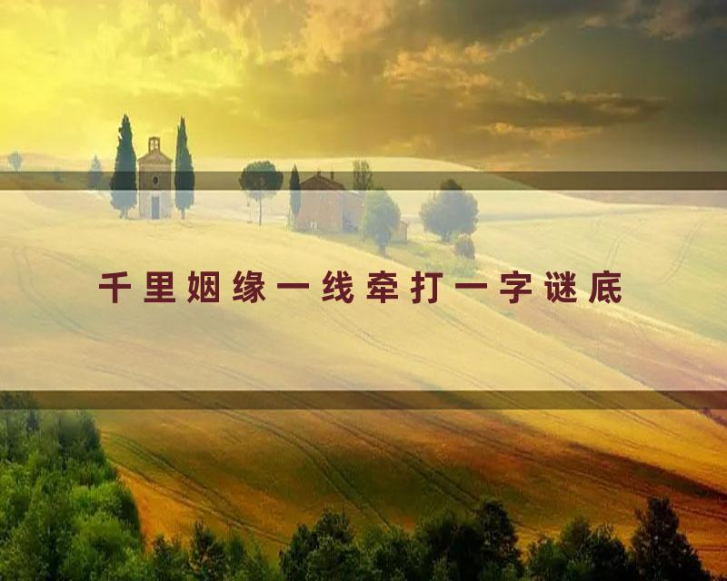 千里姻缘一线牵打一字谜底