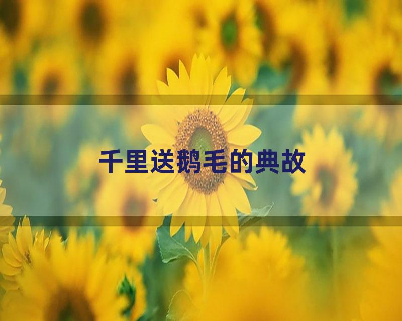 千里送鹅毛的典故