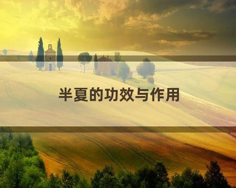 半夏的功效与作用