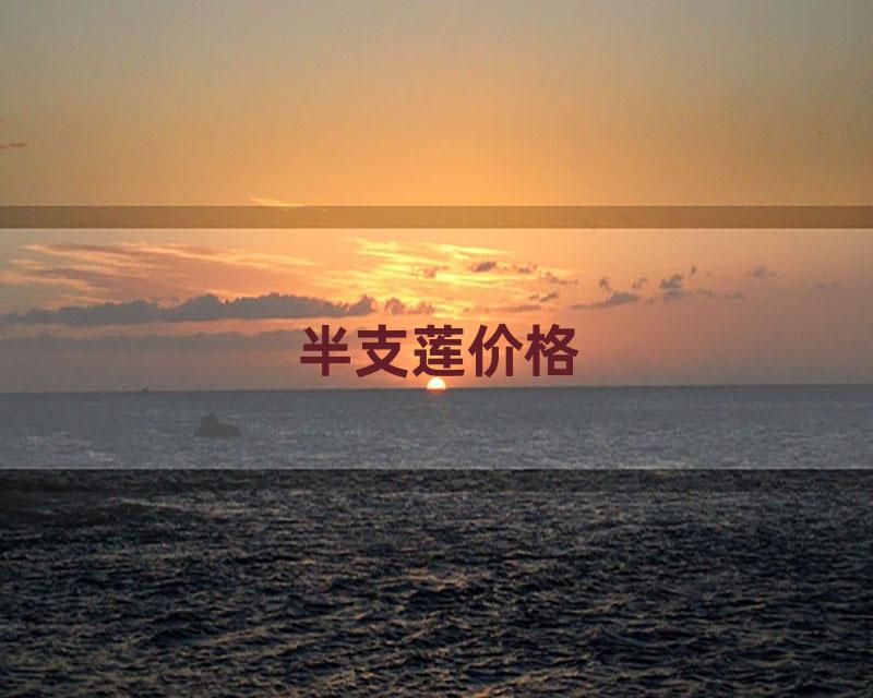 半支莲价格