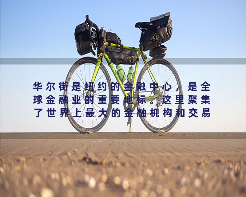 华尔街是纽约的金融中心，是全球金融业的重要地标。这里聚集了世界上最大的金融机构和交易所。