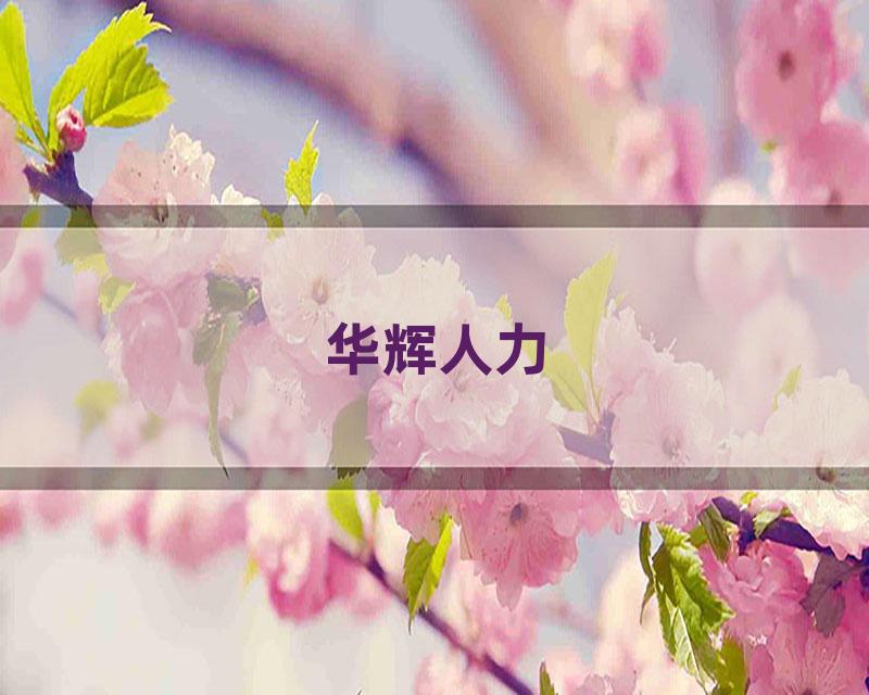 华辉人力