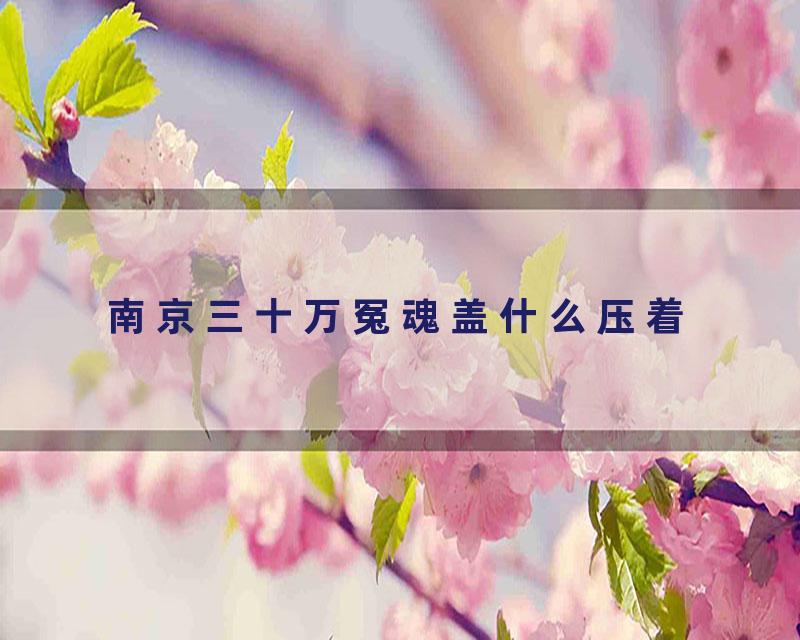 南京三十万冤魂盖什么压着