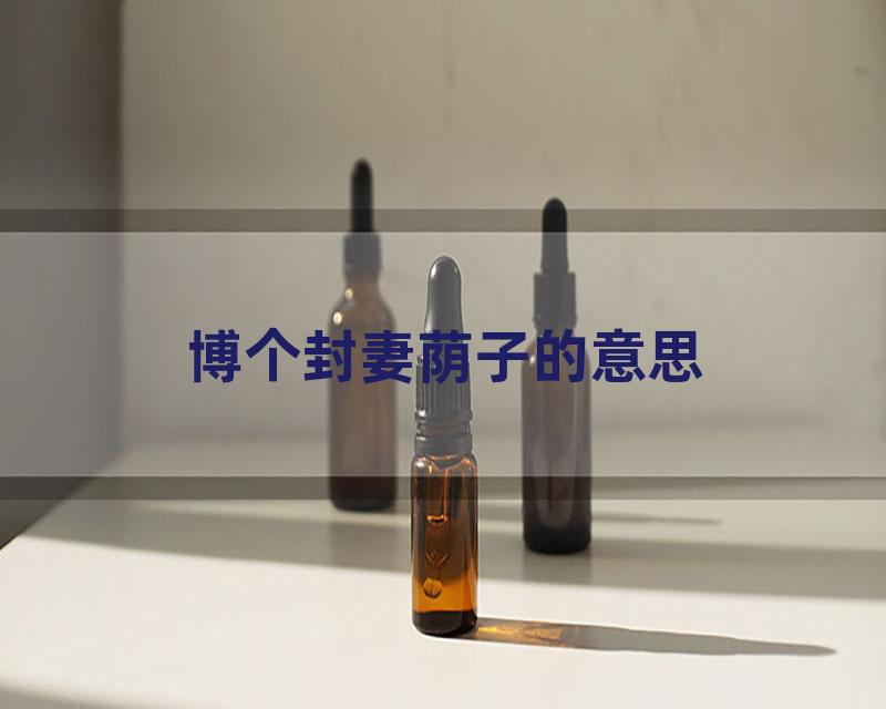 博个封妻荫子的意思