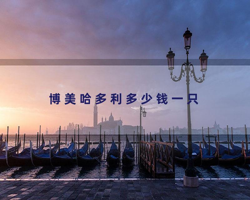 博美哈多利多少钱一只