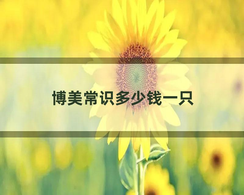 博美常识多少钱一只