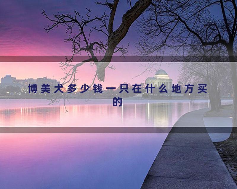 博美犬多少钱一只在什么地方买的