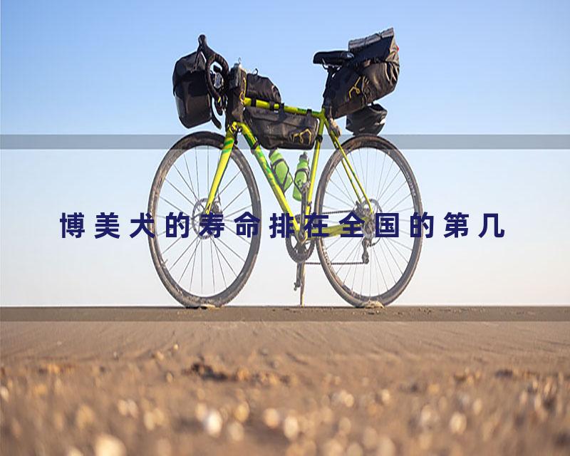 博美犬的寿命排在全国的第几