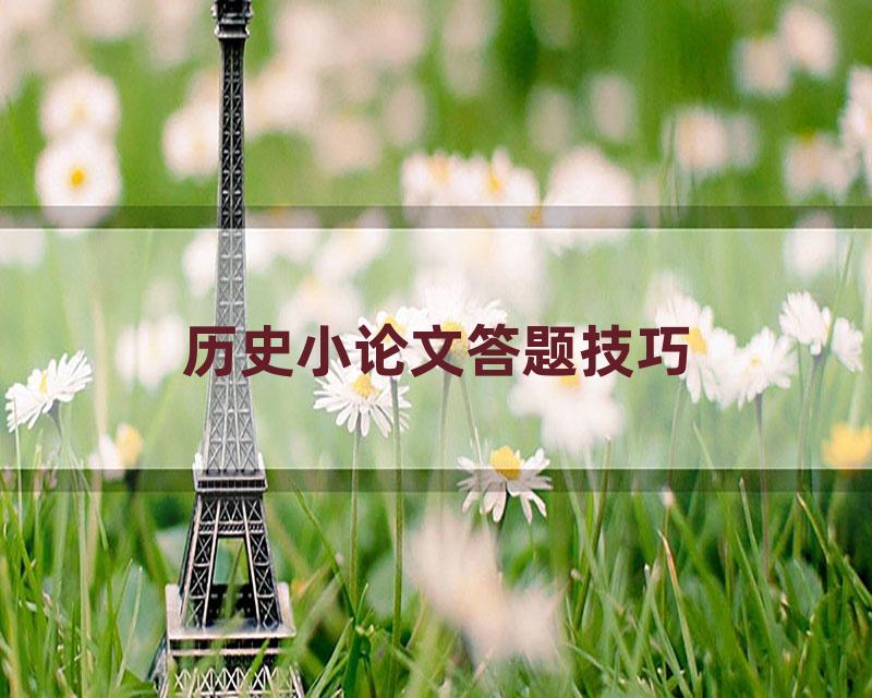 历史小论文答题技巧