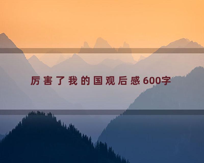 厉害了我的国观后感600字
