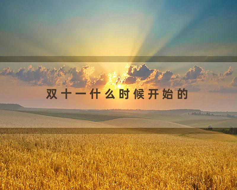 双十一什么时候开始的