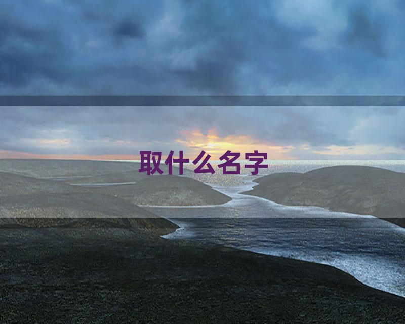 取什么名字