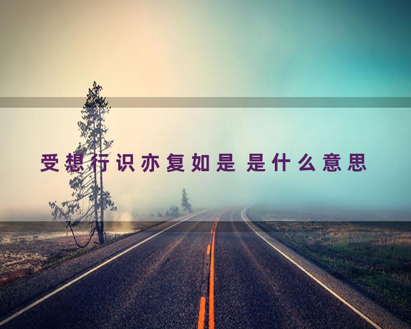 受想行识亦复如是 是什么意思