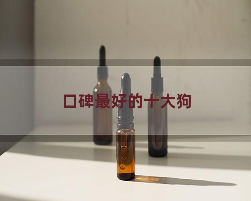 口碑最好的十大狗