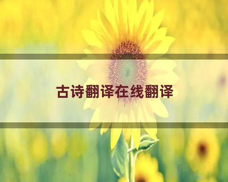 古诗翻译在线翻译