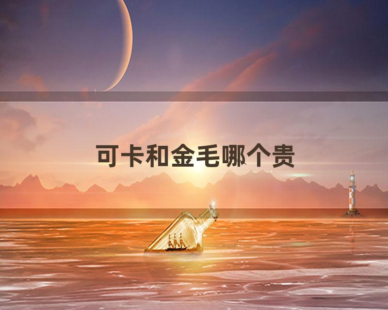 可卡和金毛哪个贵