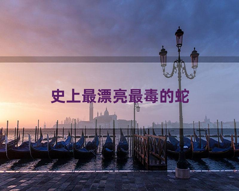 史上最漂亮最毒的蛇