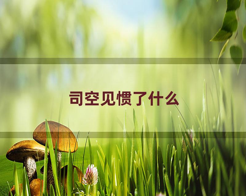 司空见惯了什么