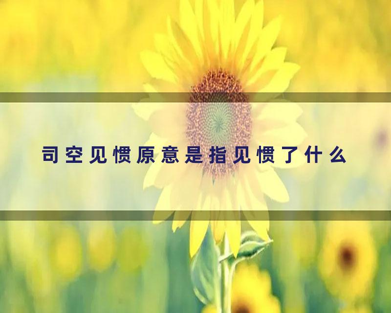 司空见惯原意是指见惯了什么