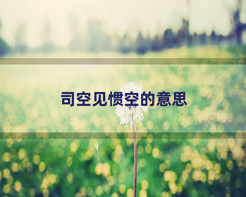 司空见惯空的意思